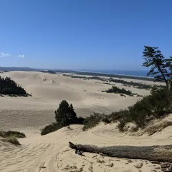 Oregon Dunes National Recreation Area - Reedsport