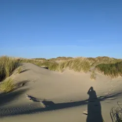 Oregon Dunes National Recreation Area - Reedsport