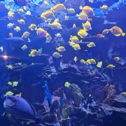Reedsport Aquarium - Reedsport