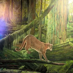 Umpqua Discovery Center - Reedsport