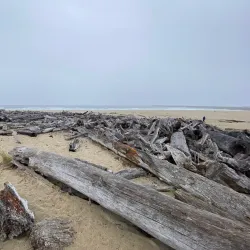 Umpqua River Jetty - Reedsport