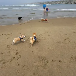 Umpqua River Jetty - Reedsport