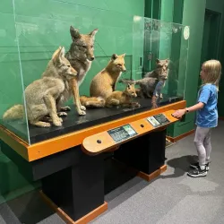 Douglas County Museum - Roseburg