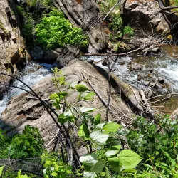 Myrtle Creek Falls - Roseburg