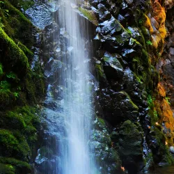 Myrtle Creek Falls - Roseburg
