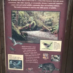 Myrtle Creek Falls - Roseburg