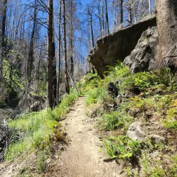 Myrtle Creek Falls - Roseburg