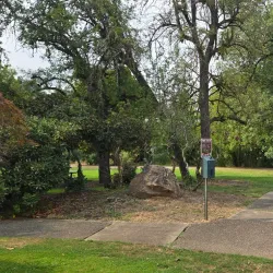 Riverside Park - Roseburg