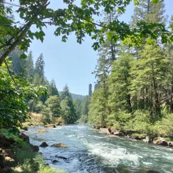 Umpqua River - Roseburg