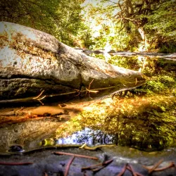 Umpqua River - Roseburg