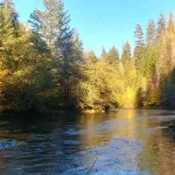 Umpqua River - Roseburg