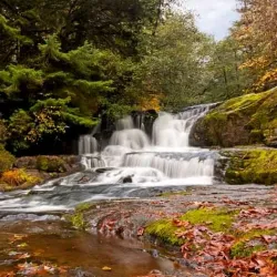 Umpqua River - Roseburg