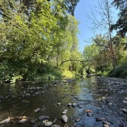 Bush's Pasture Park - Salem