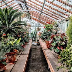 Bush's Pasture Park - Salem