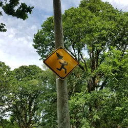 Bush's Pasture Park - Salem