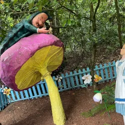 Enchanted Forest Theme Park - Salem