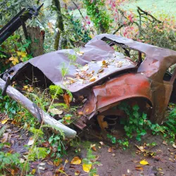 Minto-Brown Island Park - Salem