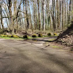 Minto-Brown Island Park - Salem