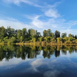 Minto-Brown Island Park - Salem
