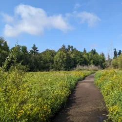Minto-Brown Island Park - Salem