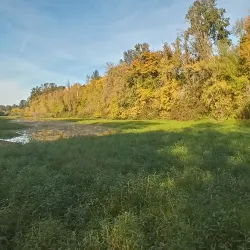 Minto-Brown Island Park - Salem
