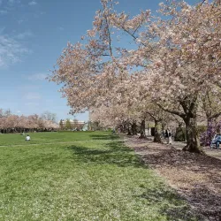 Oregon State Capitol - Salem