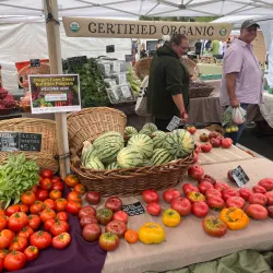 Salem Saturday Market - Salem