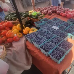 Salem Saturday Market - Salem