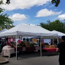 Salem Saturday Market - Salem