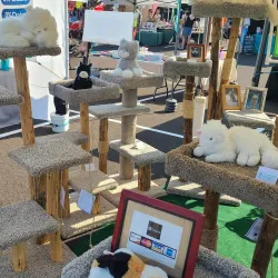 Salem Saturday Market - Salem