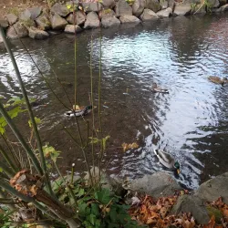 Willamette Heritage Center - Salem