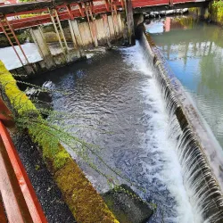 Willamette Heritage Center - Salem