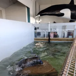 Seaside Aquarium - Seaside