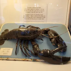 Seaside Aquarium - Seaside