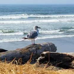 Seaside Golf Course - Seaside