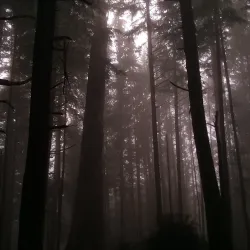 Tillamook Head Trail - Seaside