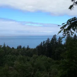 Tillamook Head Trail - Seaside
