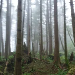 Tillamook Head Trail - Seaside