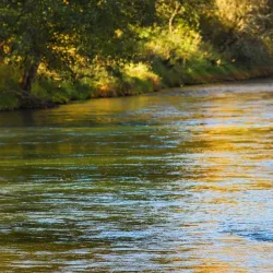 Clearwater Park - Springfield