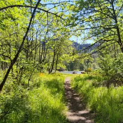 Clearwater Park - Springfield