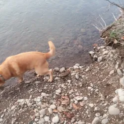 Clearwater Park - Springfield