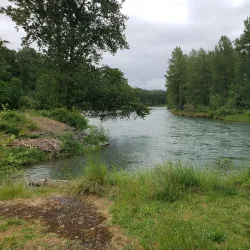 Clearwater Park - Springfield