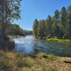 Clearwater Park - Springfield