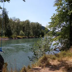 Clearwater Park - Springfield