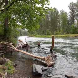 Clearwater Park - Springfield