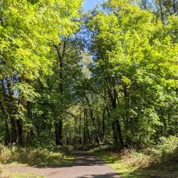 Clearwater Park - Springfield