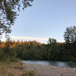 Clearwater Park - Springfield