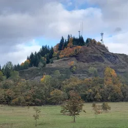 Dorris Ranch - Springfield