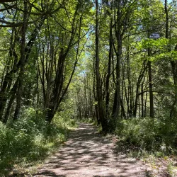 Dorris Ranch - Springfield