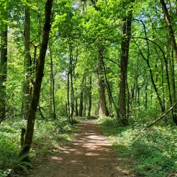 Dorris Ranch - Springfield